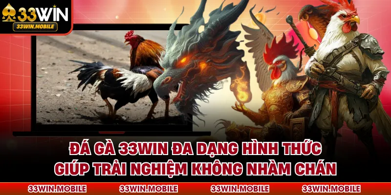 Đá gà 33WIN đa dạng hình thức giúp trải nghiệm không nhàm chán